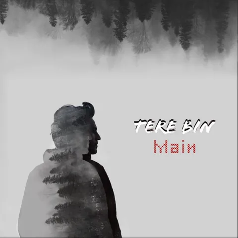 Tere Bin Main